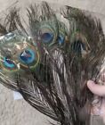 10 Pc 10-12inch 25-30cm Natural Peacock Feathers Crafts Handwork Diy Party Pl