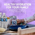 Pure Life Purified Water  16 9 Fl Oz   500 Ml  Plastic Bottled Water  35 Pack 