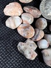 Thomsonite Tumbled 239 Ct 60 In Lot Up Michigan  Many Amazing Eyes And Patterns