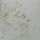 Leedy ludwig 14  Snare Drum Calf Skin Batter Head Floor Tom Vintage 20s Unmarked