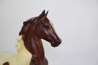 Breyer Horse Project Universe Pinto American Saddlebred Five Gaiter
