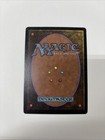 Swamp Mtg Limited Edition Beta Common Land
