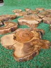 5 Kg- 11 Lbs Olive Wood Cookie Slices For Resinart Projects  Raw Olive Wood Slab
