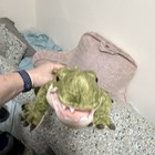 Fao Schwarz Green Alligator Crocodile Plush Stuffed Animal Soft Toy Large