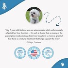 Hepatic Liver Support For Dogs