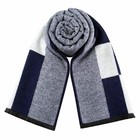 Classic Autumn   Winter Warm Plaid Man Scarf Cashmere Wool Panama Soft Striped L