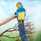 Lifelike 20  Long Tropical Blue Feathered Artificial Macaw Parrot Bird