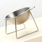 15   Tilted Orthopaedic Feeding Bowl 304 Stainless Steel Raised Pet Bowl