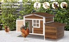 Chicken Coop For 2 Chickens Outdoor Rabbit Hutch With Ramp   Nesting Box