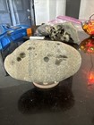 Multi Hole Hag Stone