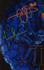 Tool 2017 Pittsburgh Band Autographed Signed Limited Poster Amco Loa 8577