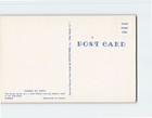 Postcard Skunk