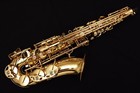 New Yanagisawa Awo1  a-wo1  Alto Saxophone