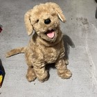 2024 Furreal Biscuit My Loving Pup Interactive Pet Toy Working 