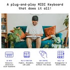 Arturia Minilab 3 Champagne     25 Key Usb Midi Keyboard Controller