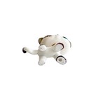 Littlest Pet Shop Toys Bobble Head Short Hair Cat  White Cat With Blue Eyes