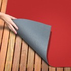 Indoor Outdoor Carpet Red Boat Marine Patio Area Rug
