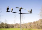 Mojo Dove Hunting Tree Dove Decoy Mounting Pole W  Carrying Bag  hw9006