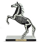 Trail Of Painted Ponies Midnight Glow Rare 2014 Retired Pony  4041000
