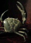 Rare Vintage Bronze Crab Sculpture Green Patina Finish Statue Figure Fiddler Cla