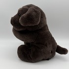 Fao Schwarz Brown Puppy Dog Plush 9    Stuffed Animal 2023 Soft Toy