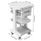 Beauty Salon Trolley Esthetician Cart Spa Rolling Equipment Storage Station