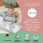 Ingenuity Sprout Spot Baby Milestone Tummy Time Activity Mat And Play Gym Unisex