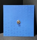 2026 American Airlines 100 Year Anniversary Lapel Pin - Brand New