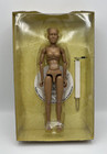 Sideshow Collectibles Art S Buck Artists Model Female Caucasian 11  Stand