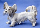 Skye Silky Papillon Terrier Augarten Austria Wien 4  Dog Figurine