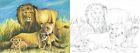 Adult Colouring Books Pro Advance Level Artist Expert Quality Painting Drawing