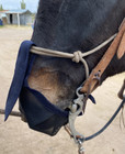 Horse Grazing Muzzle  Hand Made  No Eat  No Bite  Mule Muzzle  Equine Muzzle