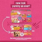 Surfin   Turfin  Prime Filets Adult Cat Wet Food-variety Pack  pack Of 80  5 5oz