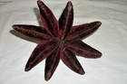 Antique French Victorian Pin Cushion Velvet 1890s Octopus Sea Creature Purple