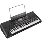Korg Pa300 61-key Professional Arranger Keyboard  black 