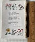 Wildflowers And Weeds Of The Pacific Northwest Martha Pederson  beautiful  Rare