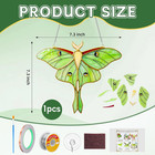 1 Set Green Luna Moth Pre Cut Stained Glass Kit For Adult Beginner