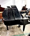 Yamaha Gb1 Baby Grand Piano 5  Polished Ebony