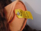 Vintage Steiff Jocko Monkey 0020 60 Ear Button Tag   Chest Tag 23 5  