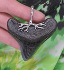 Megalodon Sharks Tooth Pendant Beauty   Sterling Silver Fossil Sharks Teeth