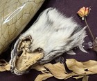 Bobcat Fur Face  Ethically Sourced  Real Fur  Pagan  Witchcraft