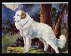 1930s Antique Great Pyrenees Print N S Langley Pyrenees Wall Art Decor 6075n