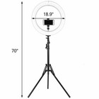 18  Led Ring Light Kit With Stand Dimmable 6000k For Makeup Phone Camera Tiktok