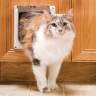 Interior Cat Door  2-way Lock  White  2x8x9 Inches  pack Of 1   White