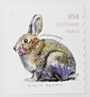 Usps Additional Ounce Stamps - Brush Rabbit  20 Stamps  Cut From A Roll  usps  