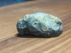 Authentic American Fossil Dinosaur Claw W fossilized Skin   Museum Quality 