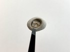 Natural Holey Beach Rock Hag Stone Fairy Wish Amulet Magic Mystical Adder  6 Usa