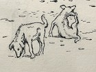 Antique Original Pen   Ink Drawing By Jo Mora  oraibi  Hopi Indian Pueblo