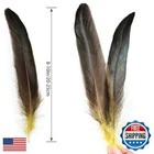 Daieeparty Yellow Rooster Tail Feathers-100pcs 8-10inch Long Rooster Tail Fea