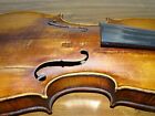 Attic Founding Beautiful Old Violin  nr  406 